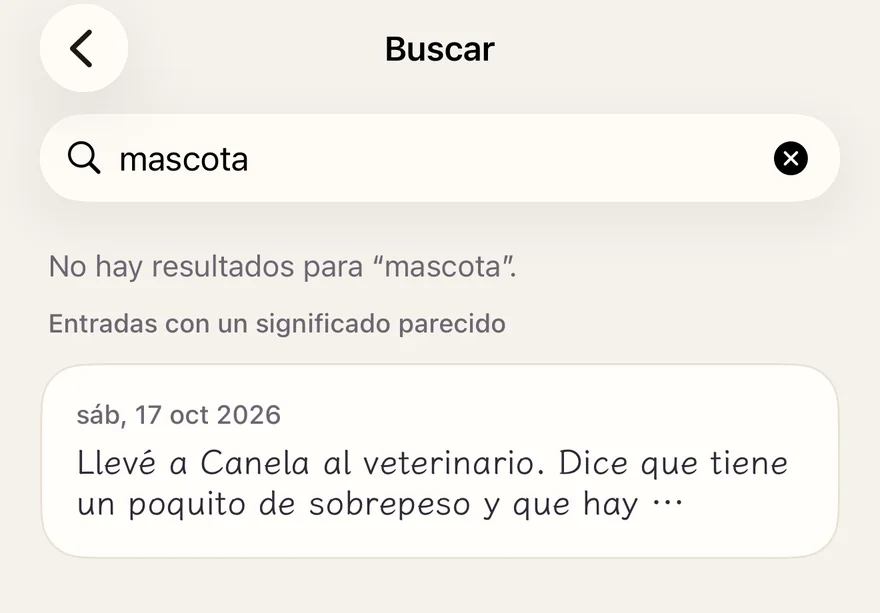 Una búsqueda sin coincidencias exactas; debajo aparecen “Entradas con un significado parecido”